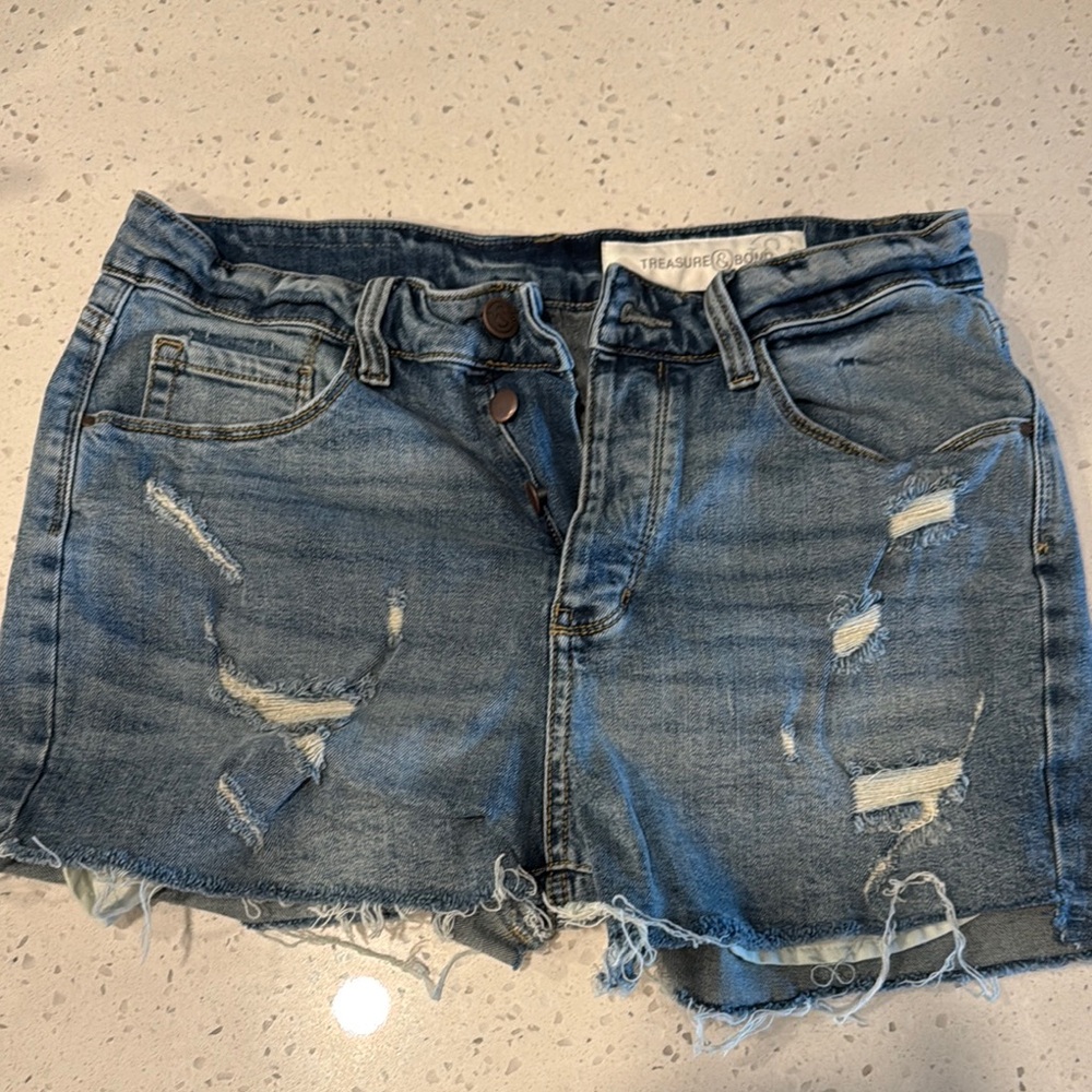Treasure & Bond Distressed Denim Shorts